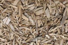 biomass boilers Drimnin